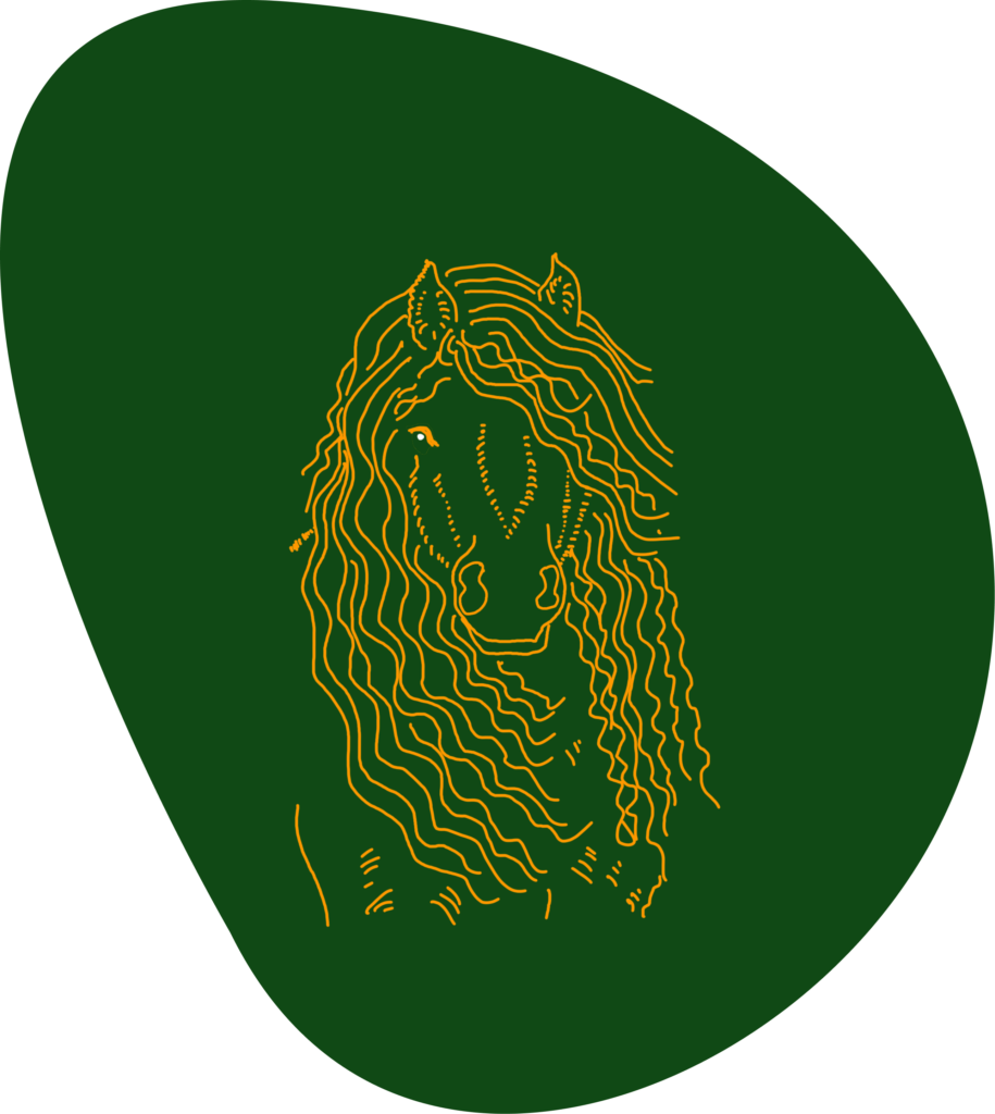 Illustration eines Pferdes